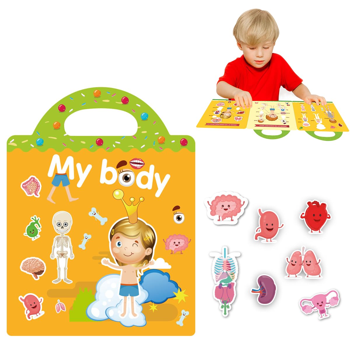 PATPAT Stickers for Kids Montessori Busy Books for Kids, Body Learning Reusable Stickers for Toddlers, Educational Toys Stickers for Kids Sticker Book Learning Toys Birthday Gifts for Kids 3+ Years PATPAT Stickers for Kids Montessori Busy Books for Kids, Body Learning Reusable Stickers for Toddlers, Educational Toys Stickers for Kids Sticker Book Learning Toys Birthday Gifts for Kids 3+ Years